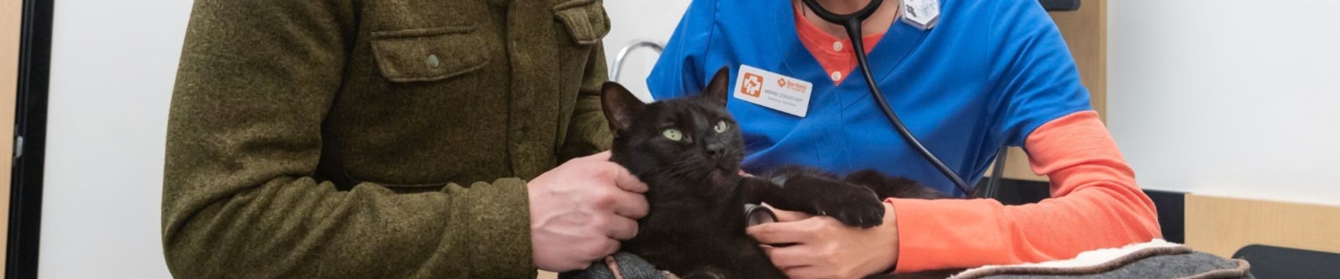 Vet tech Merrie Cooley examines a black cat with the help of a client