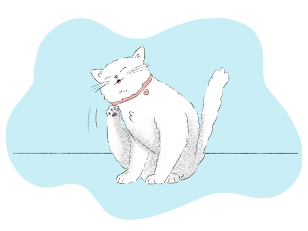 An illustration of a fluffy white cat with a pink collar scratching its ear