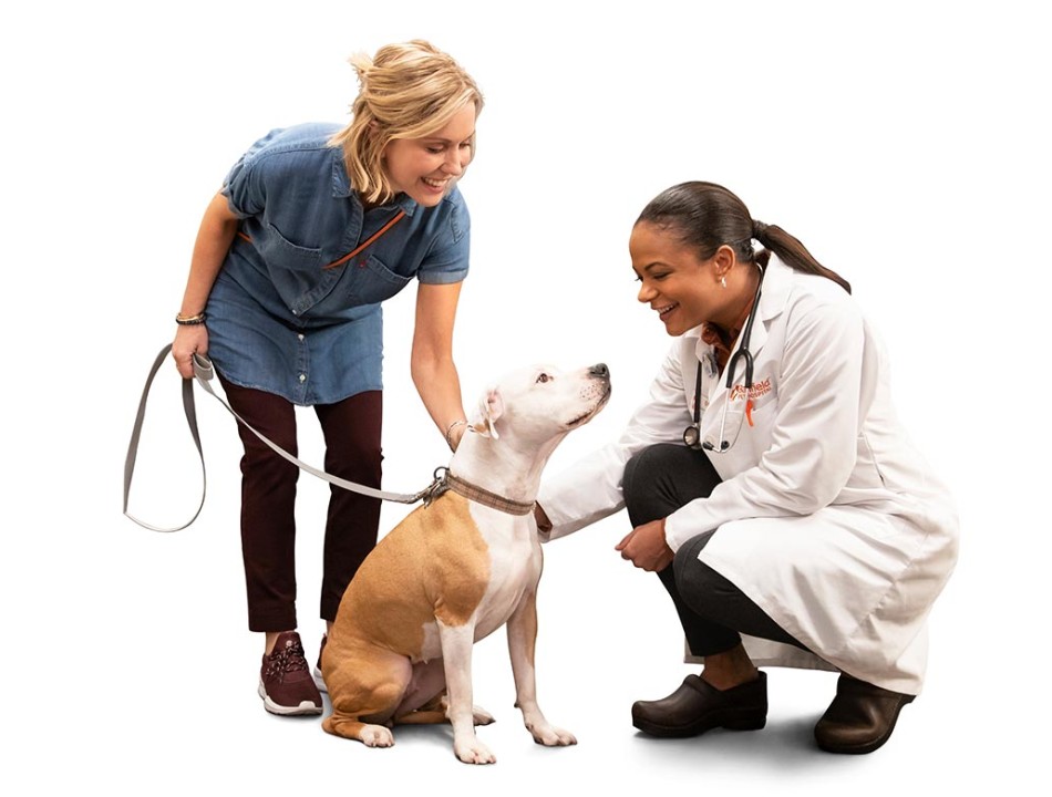 Banfield Pet Hospital Prices (Wellness Plan, Grooming + More)