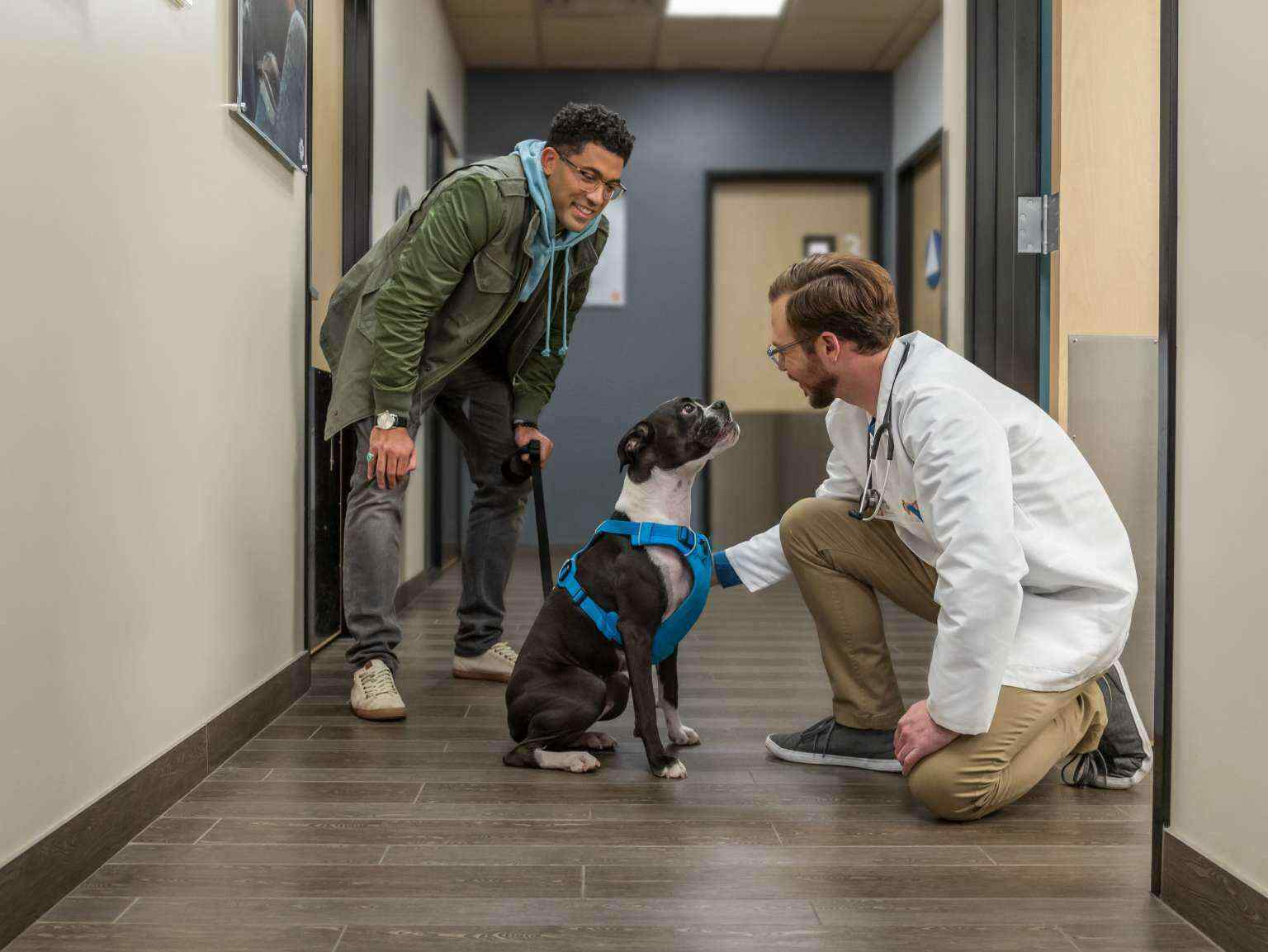 A dog owner and a vet petting a dog