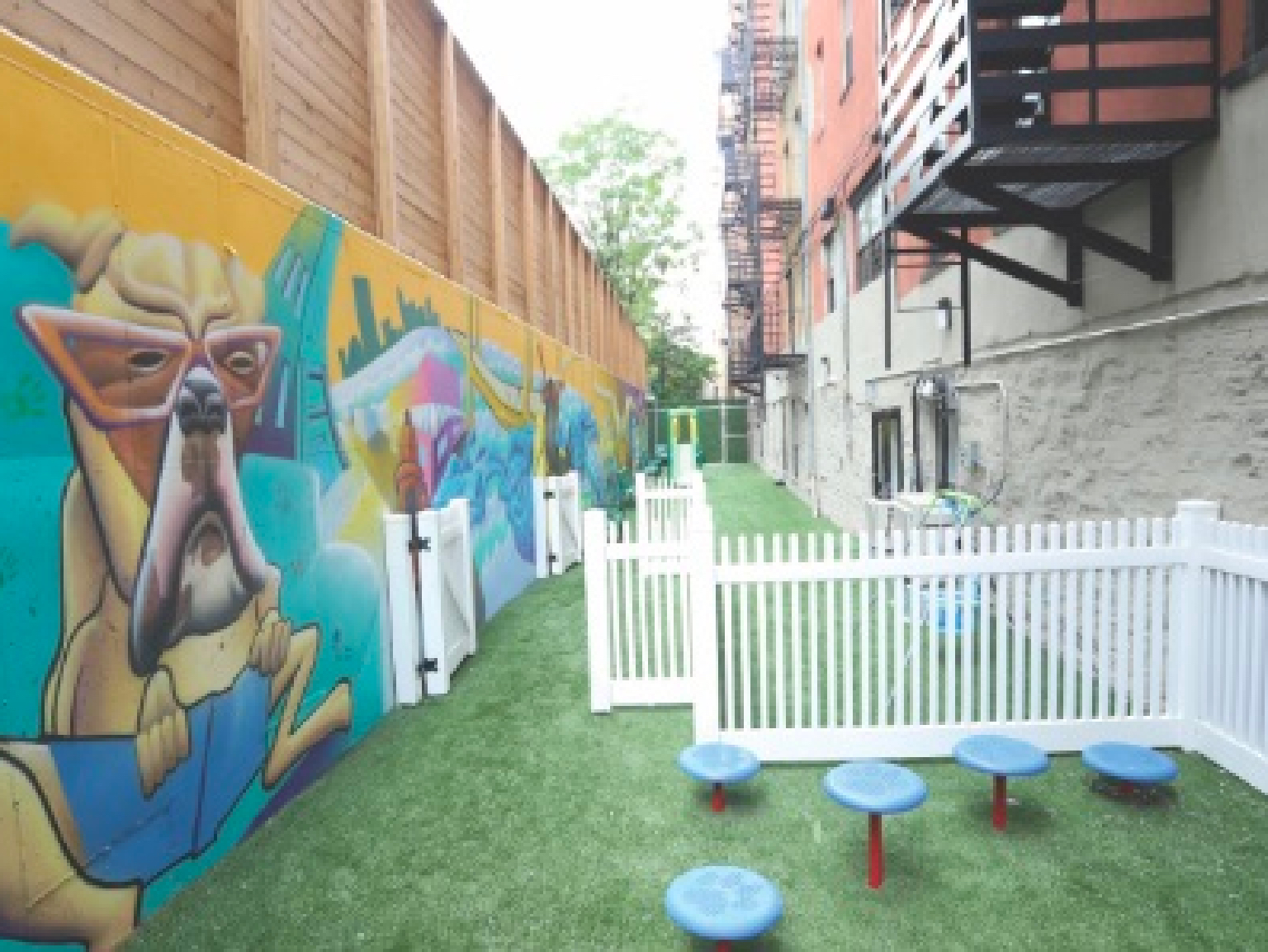 A photo of the Banfield Foundation Pet Park