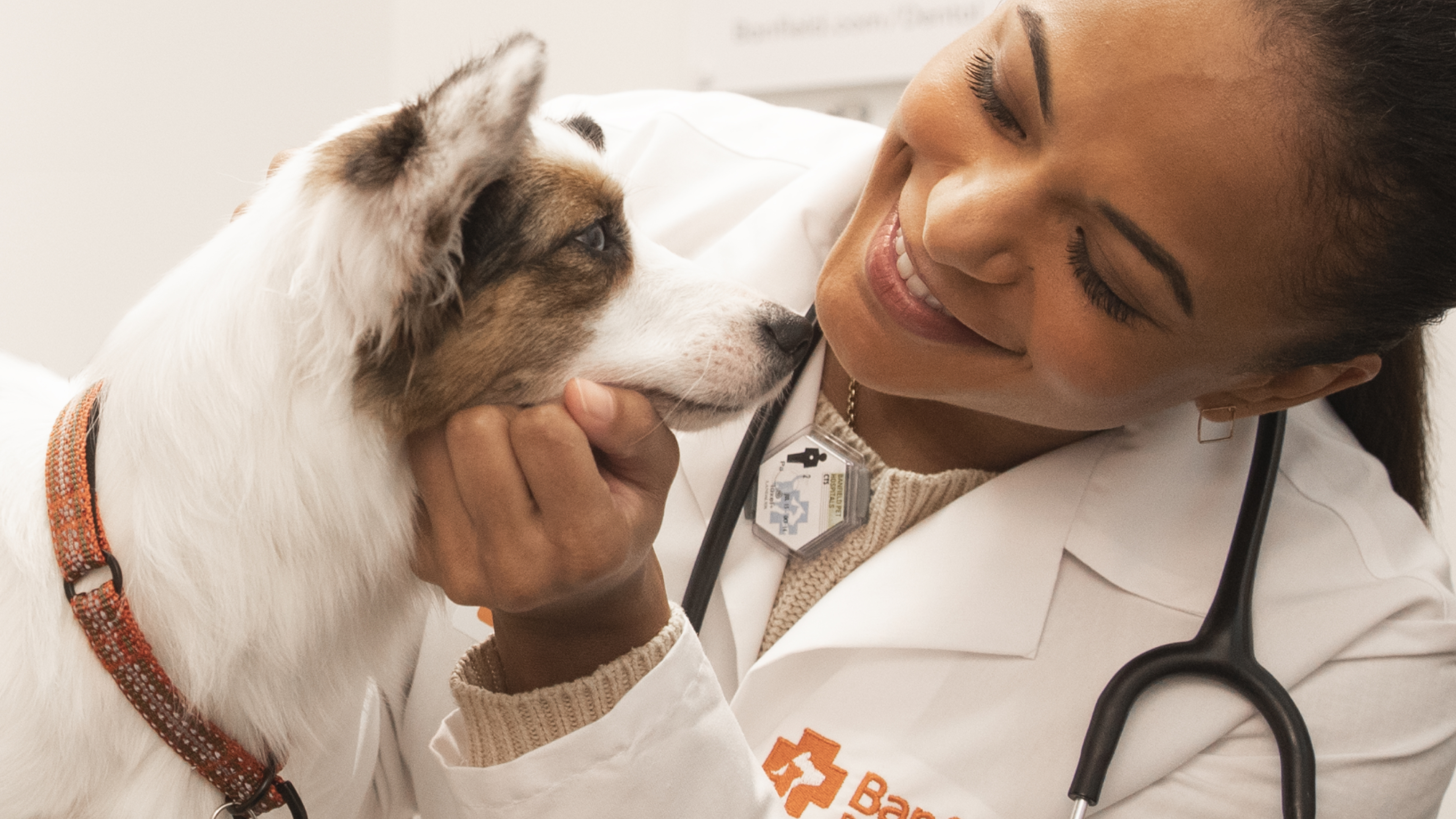 A female veterinarian examining a dog at the Banfield Pet Hospital