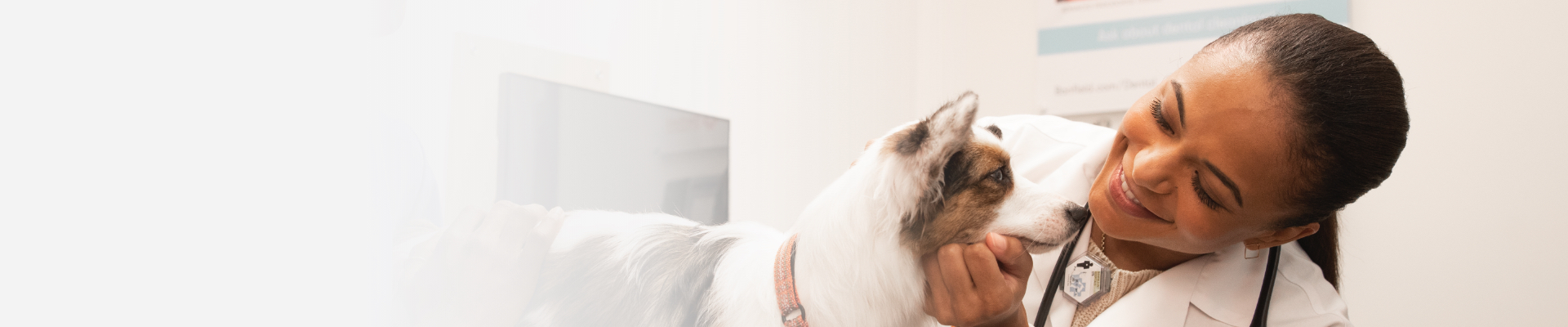 A female veterinarian examining a dog at the Banfield Pet Hospital