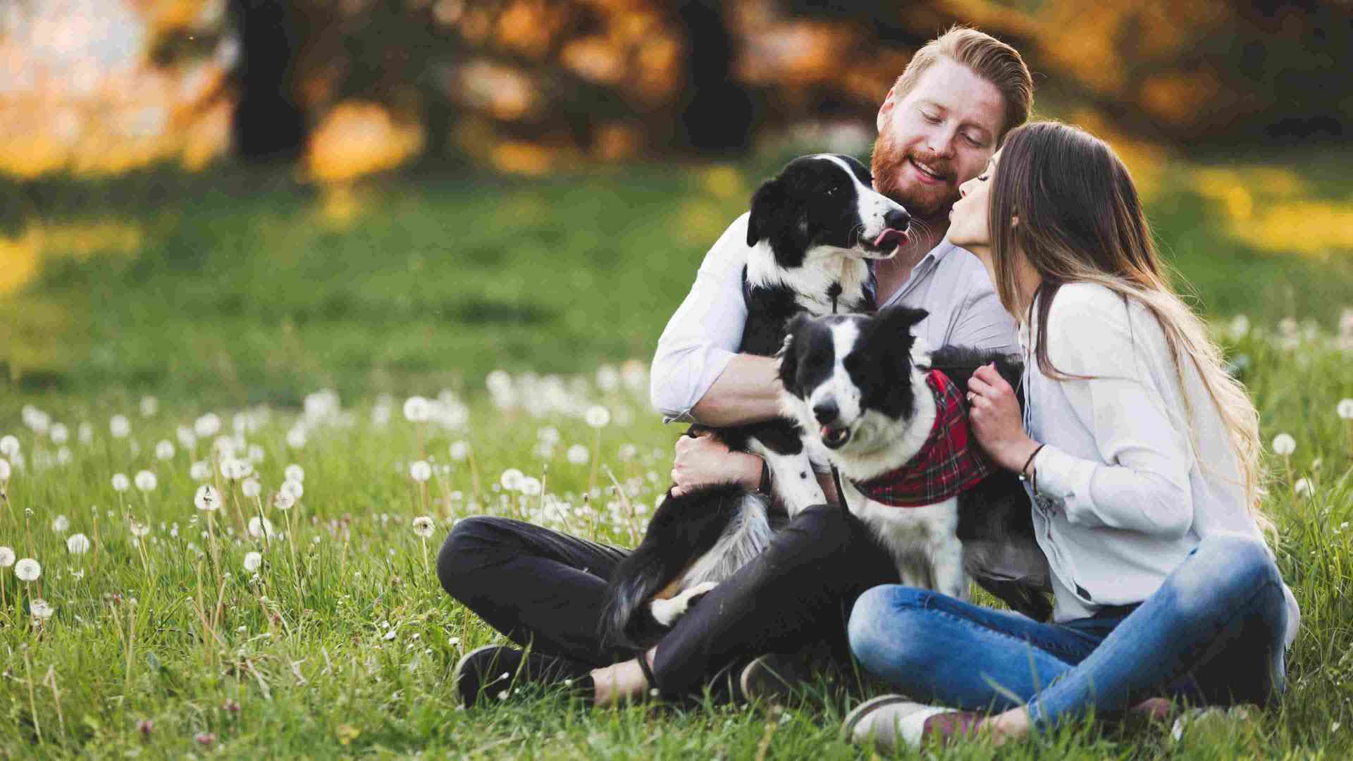 Dog hotsell and human