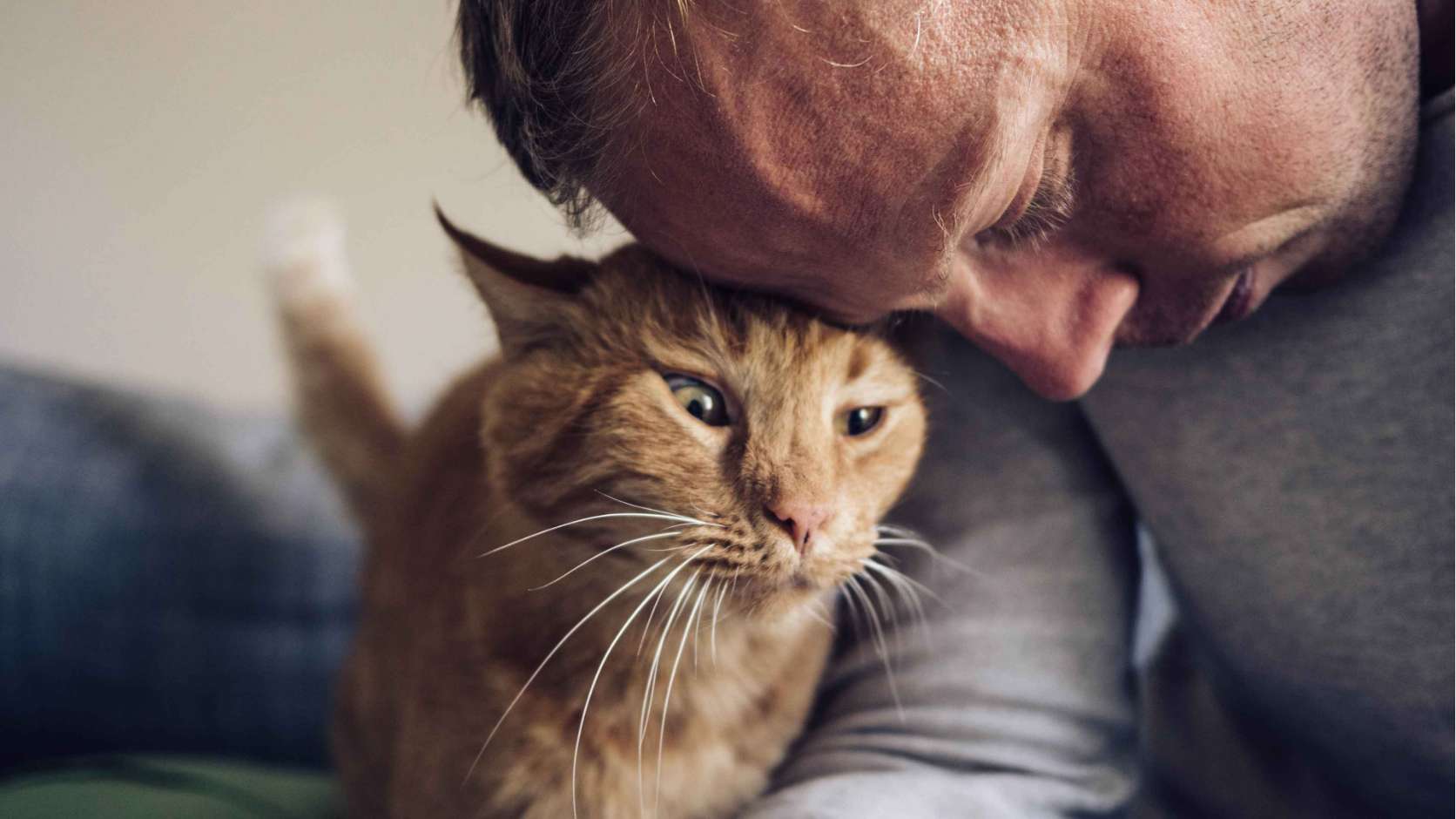 Banfield Euthanasia Cost