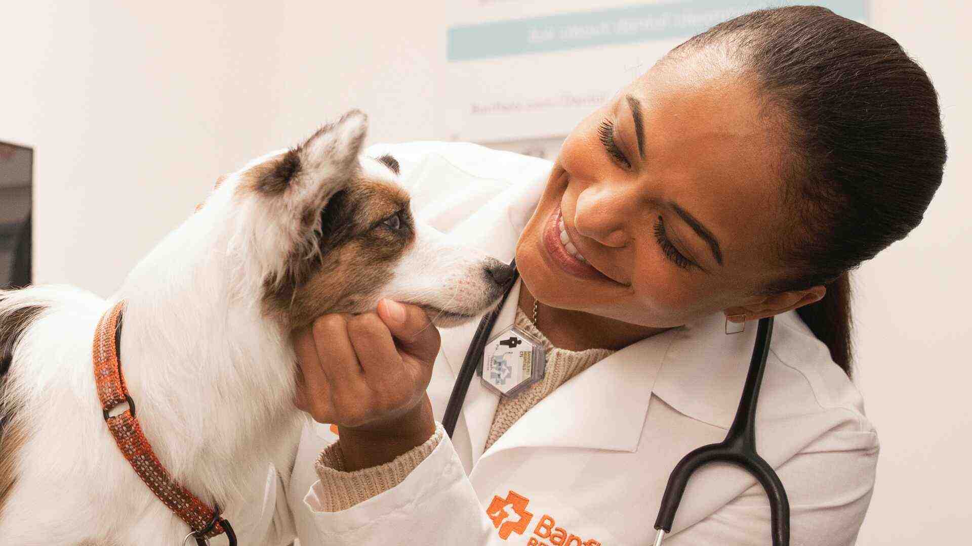 Pet sitting vs. boarding Banfield Pet Hospital®