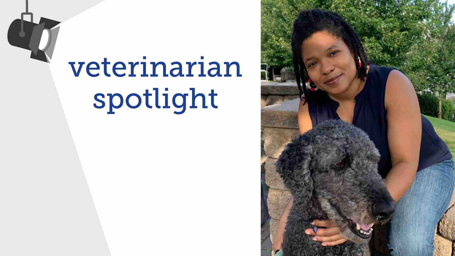 Veterinarian Spotlight 