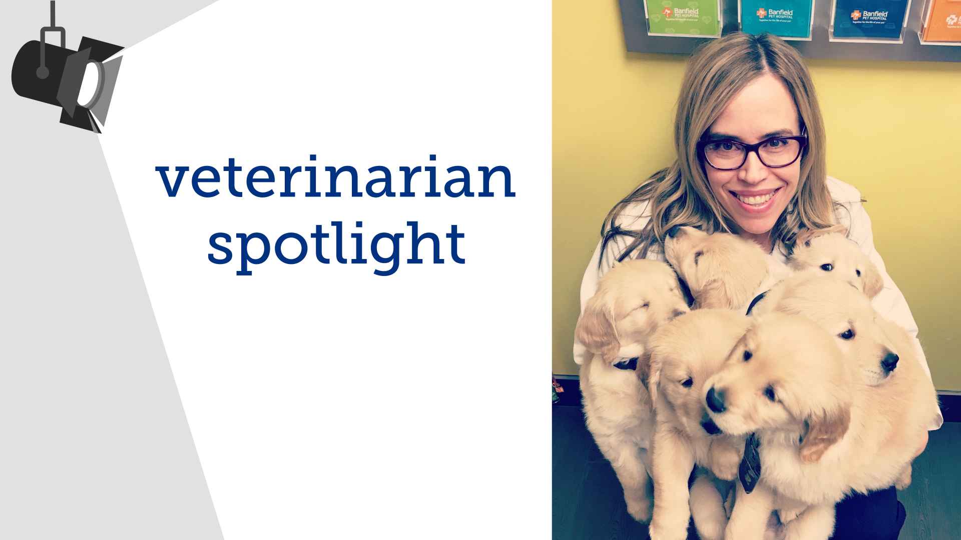 Veterinarian spotlight