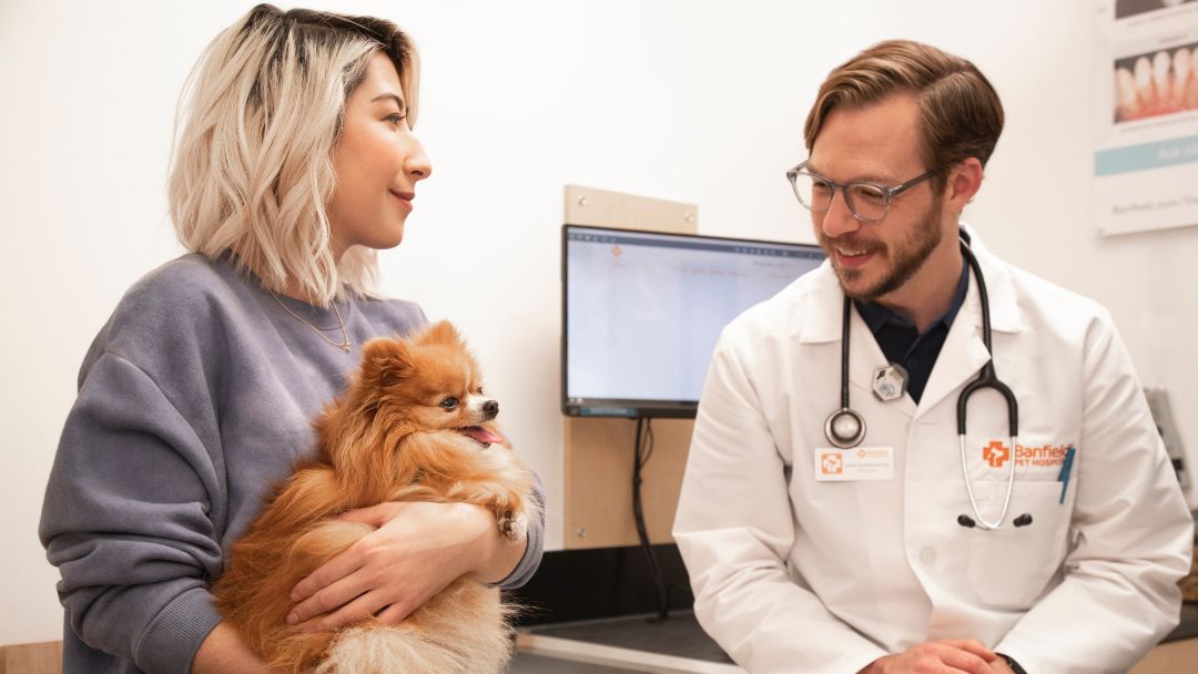 Banfield VET Report