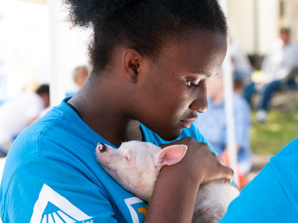 A dog sleeping on owner's shoulder