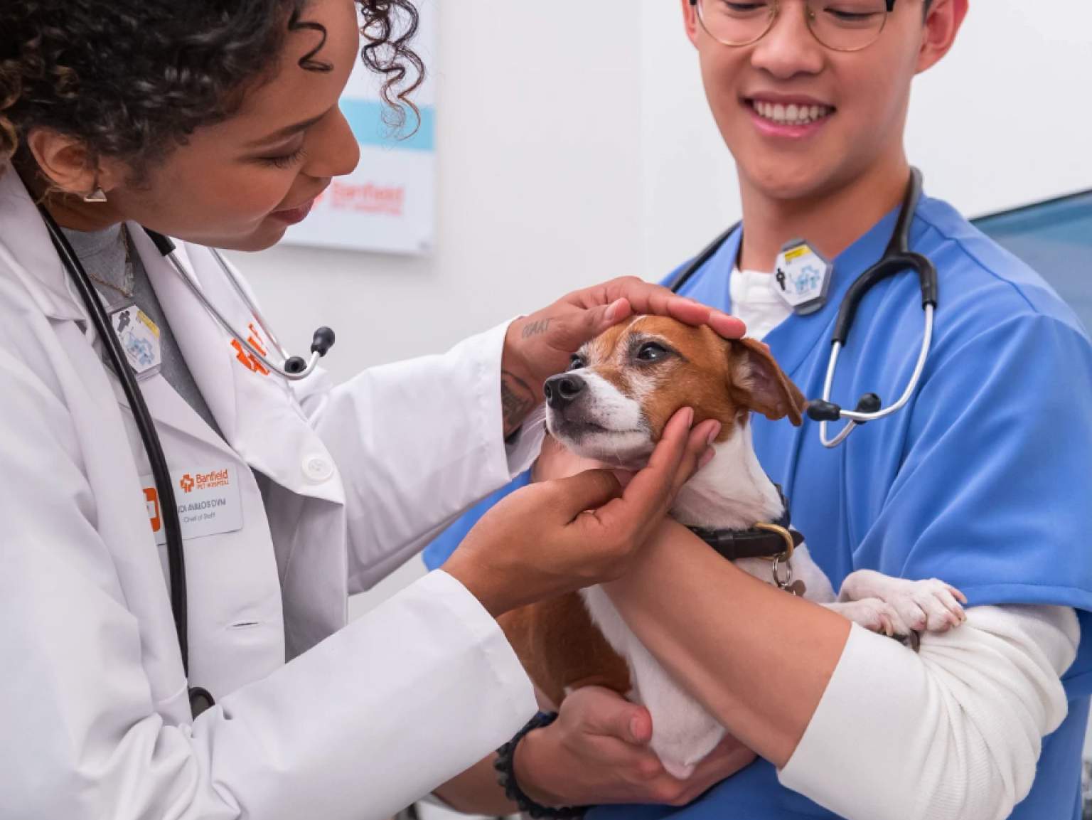 Two veterinarians examining a dog at the Banfield Pet Hospital