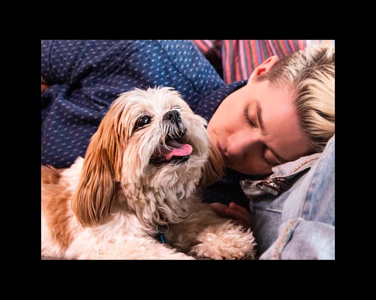 A young boy sleeping next to his little happy dog