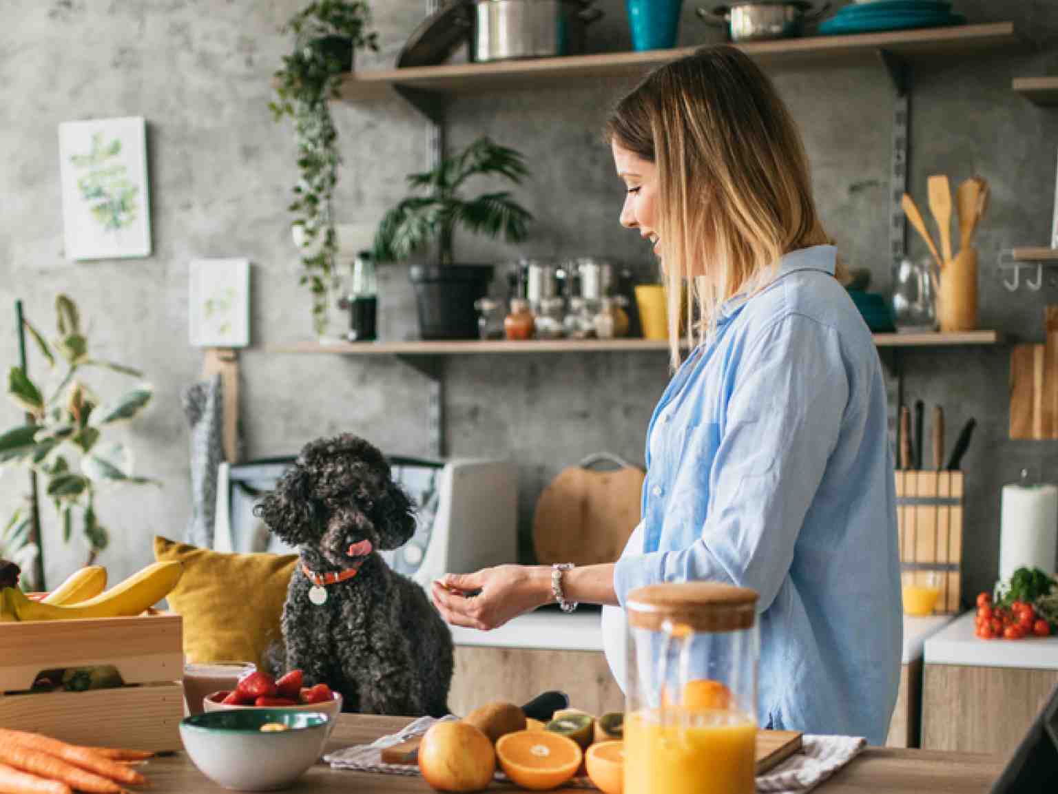 A dog sitting by the dining table and the owner offering her some food