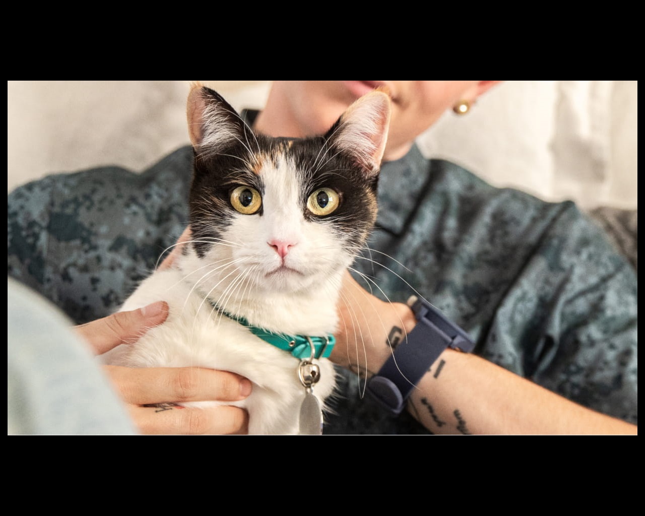 Cat looks shocking