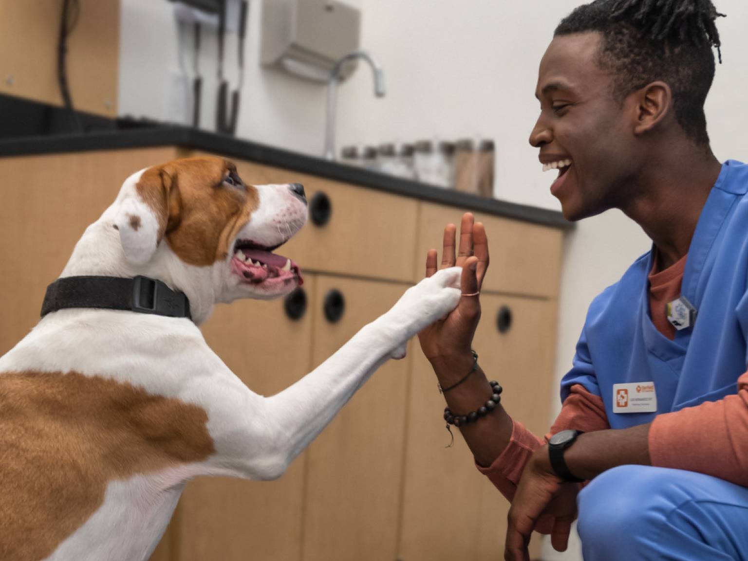 When to Call the Vet Banfield Pet Hospital®