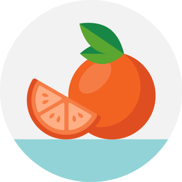 Orange vector