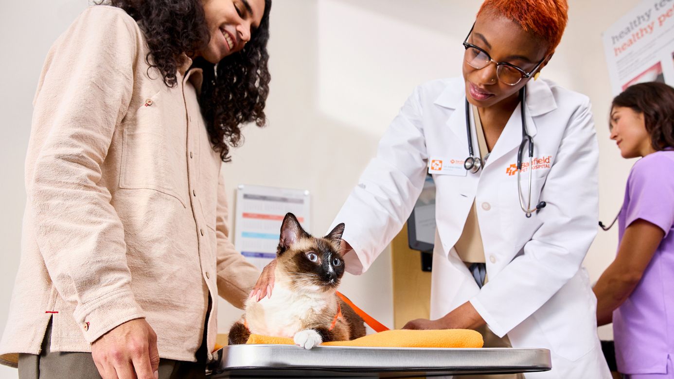 Banfield pet hospital near me sales