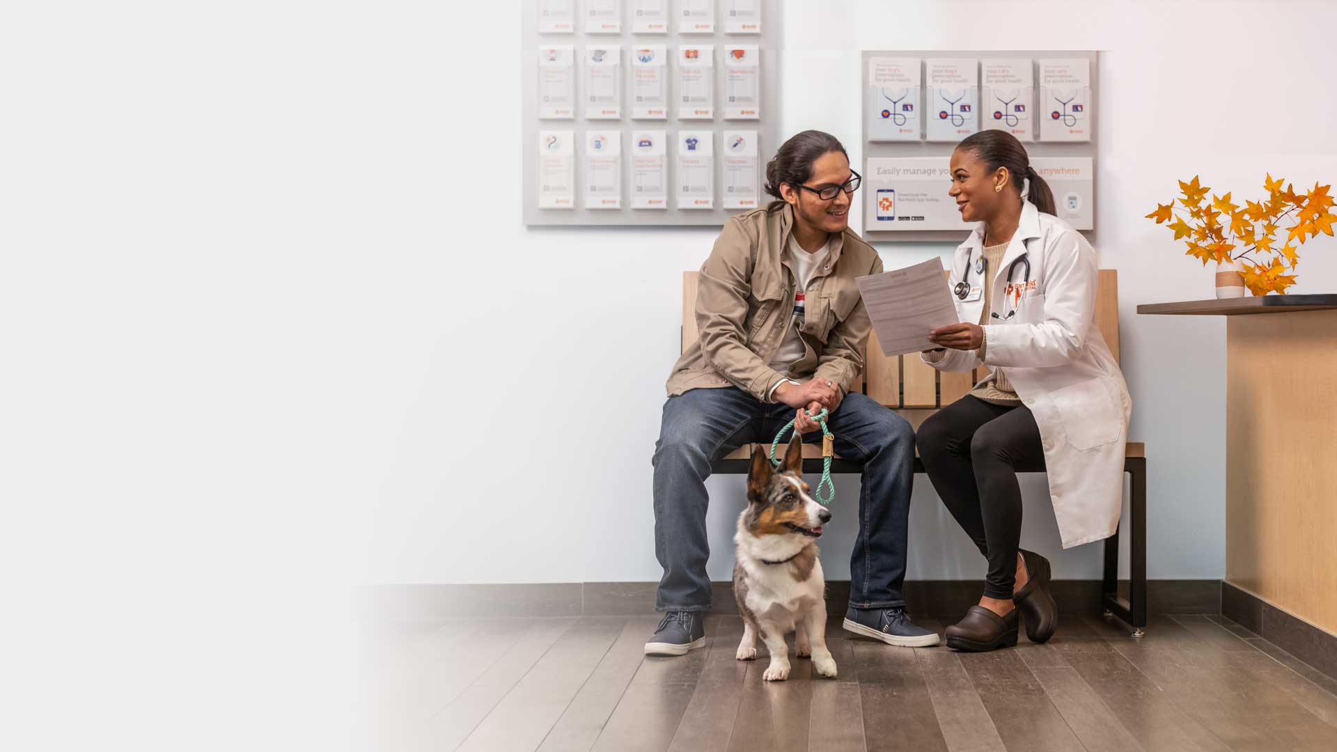 Glassdoor Discounts Mars Petcare Glassdoor Vca Banfield Hotsell