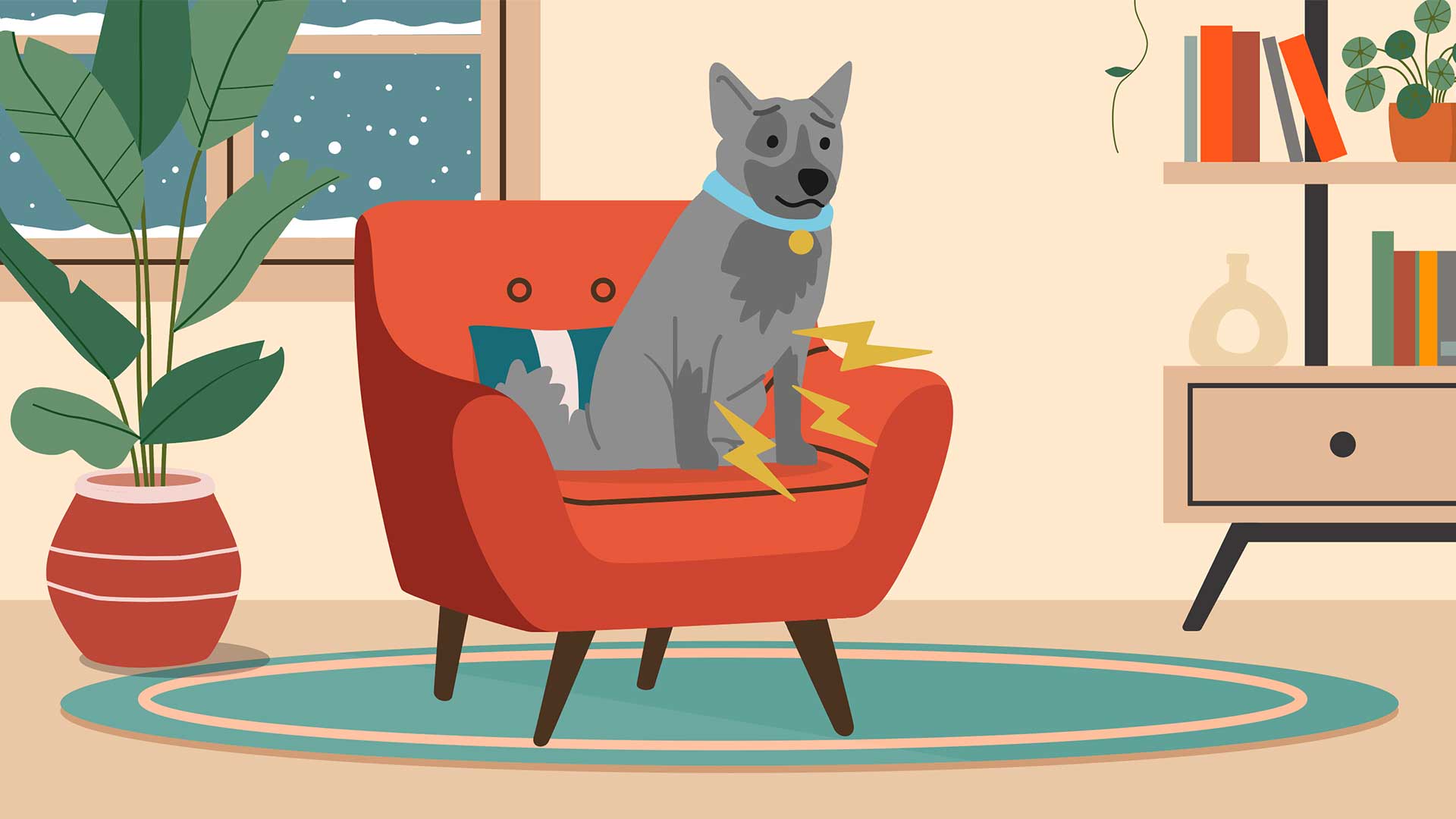 Illustration - a dog sitting on a chair