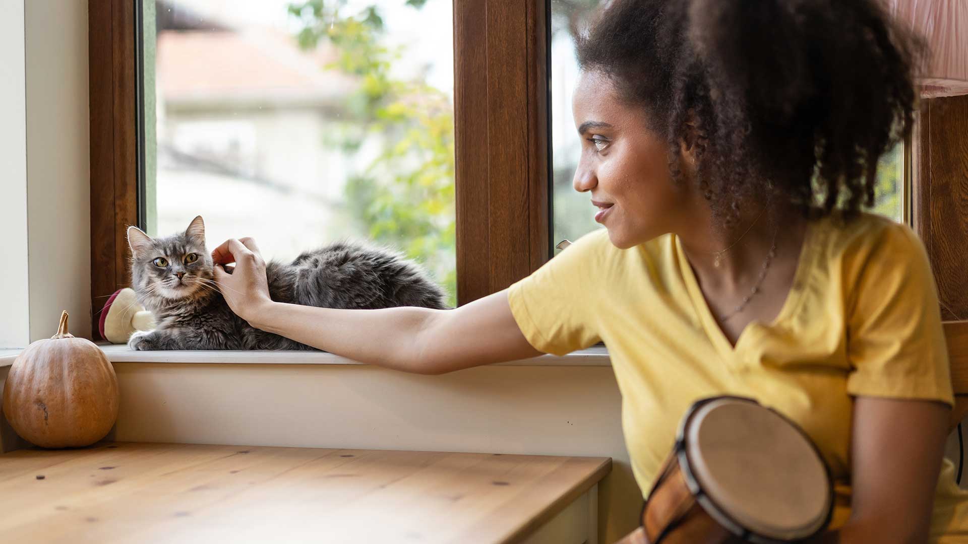 A cat being pet by their owner in a yellow shirt