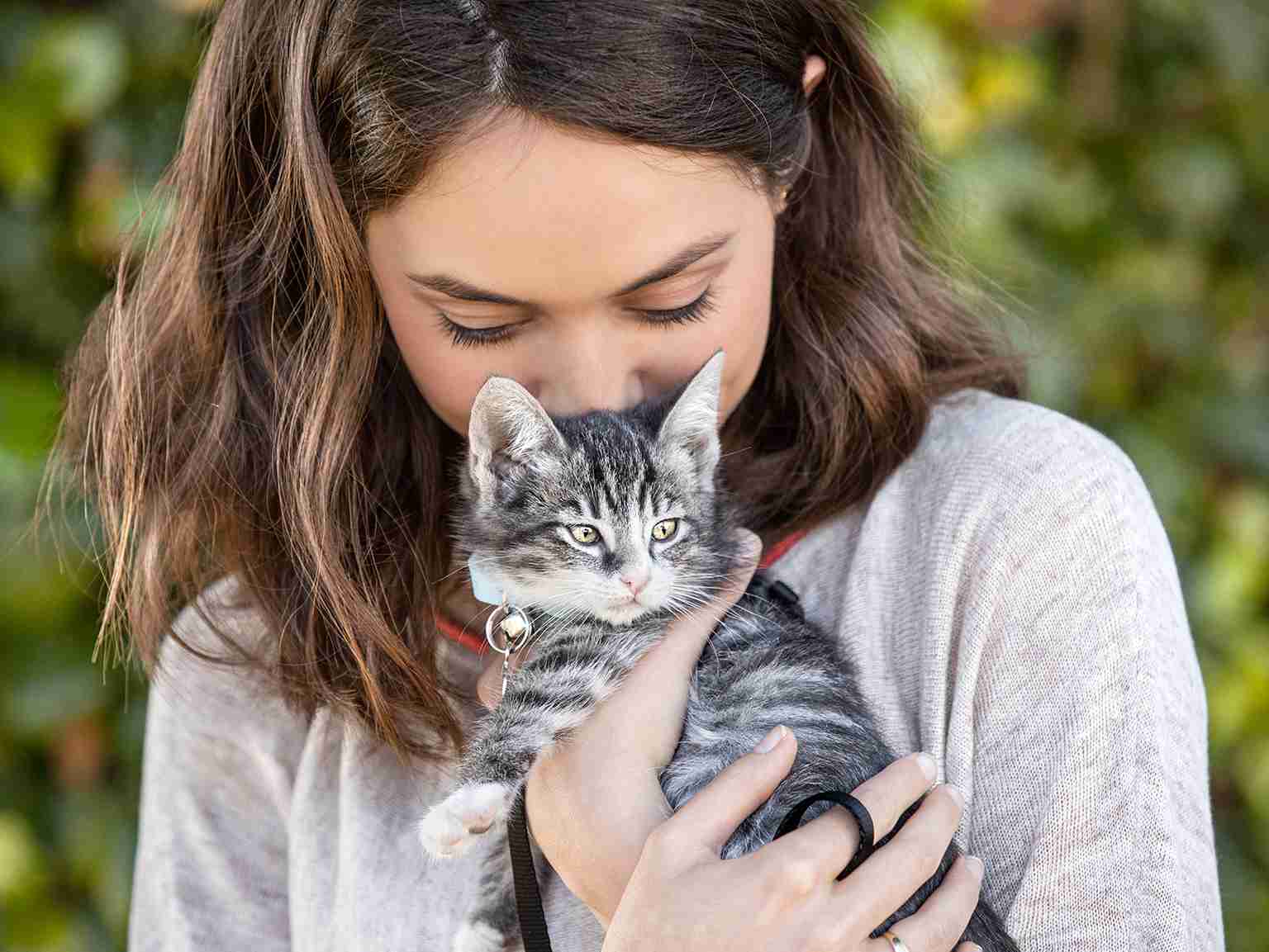 Kitten Wellness Plans Banfield Pet Hospital