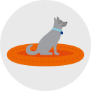 Illustration of a dog on a pet bed