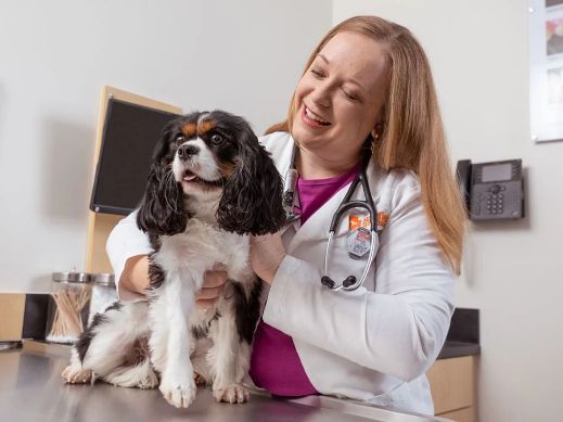 Dog and puppy vaccinations