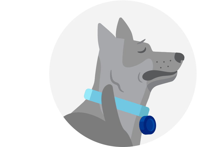 mane n tail for fleas