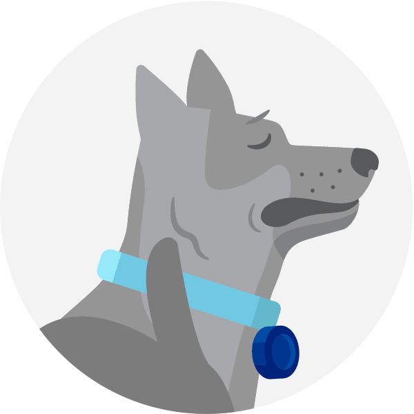 Dog Vector