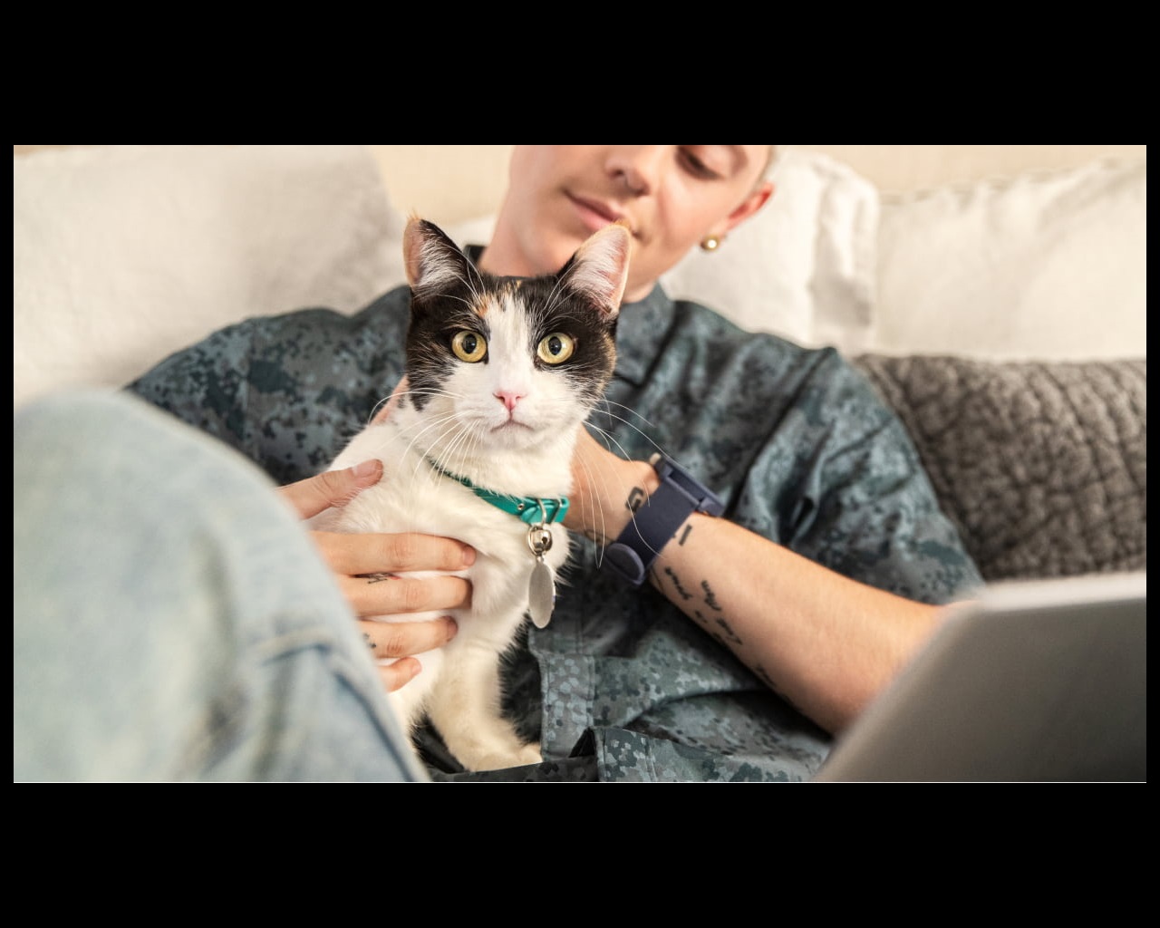 A close-up of a cat being held by its owner