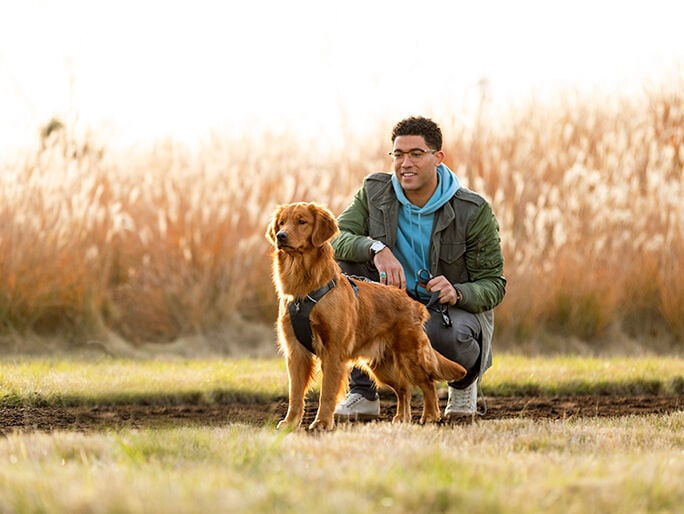 brown dog with owner on green field