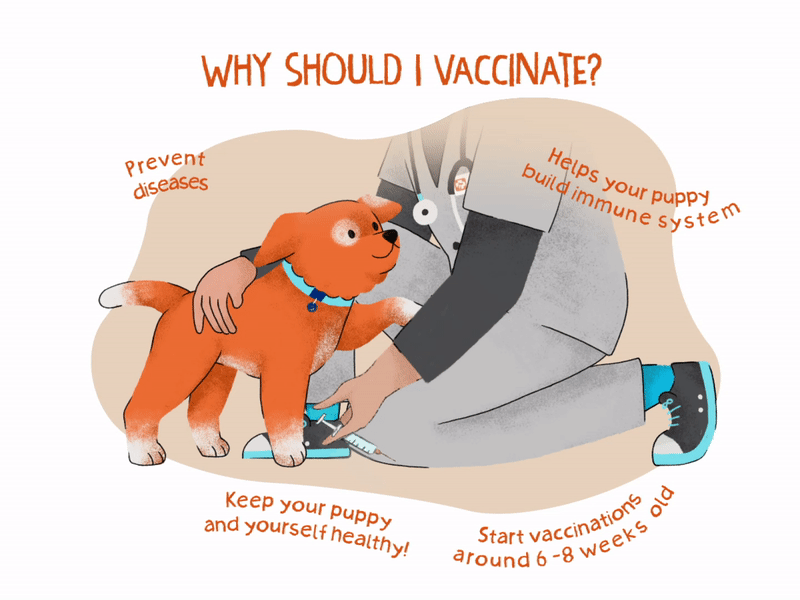 Puppy core vaccines hotsell