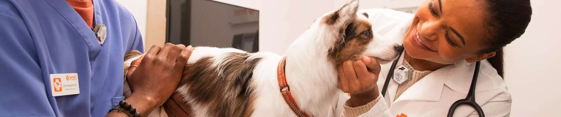 Banfield puppy deals shots cost