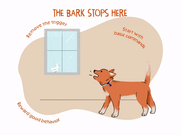 Excessive Dog Barking: What To Do When Your Dog Is Too Vocal  