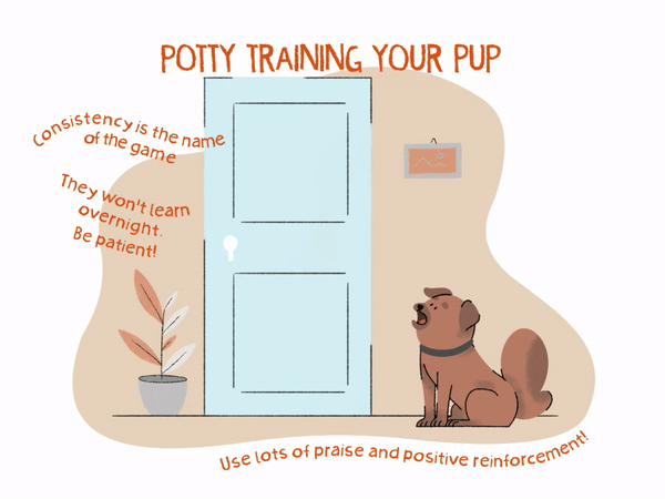 Vector graphic animation of potty training your pup