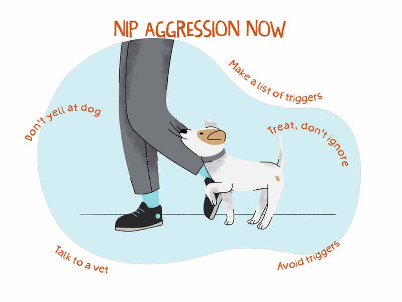 My dog deals is getting aggressive