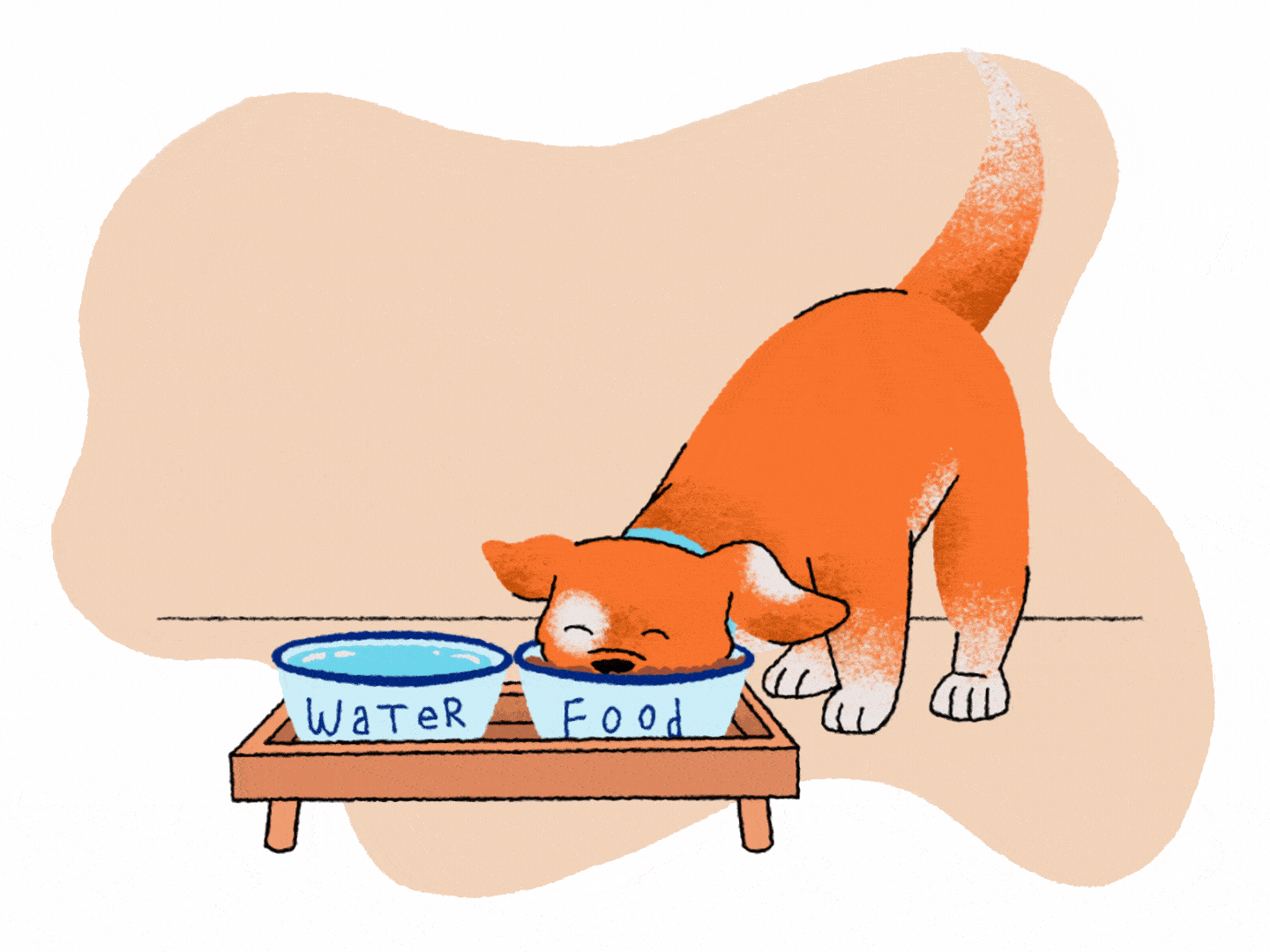 How (and how much) to feed a puppy How (and how much) to feed a puppy