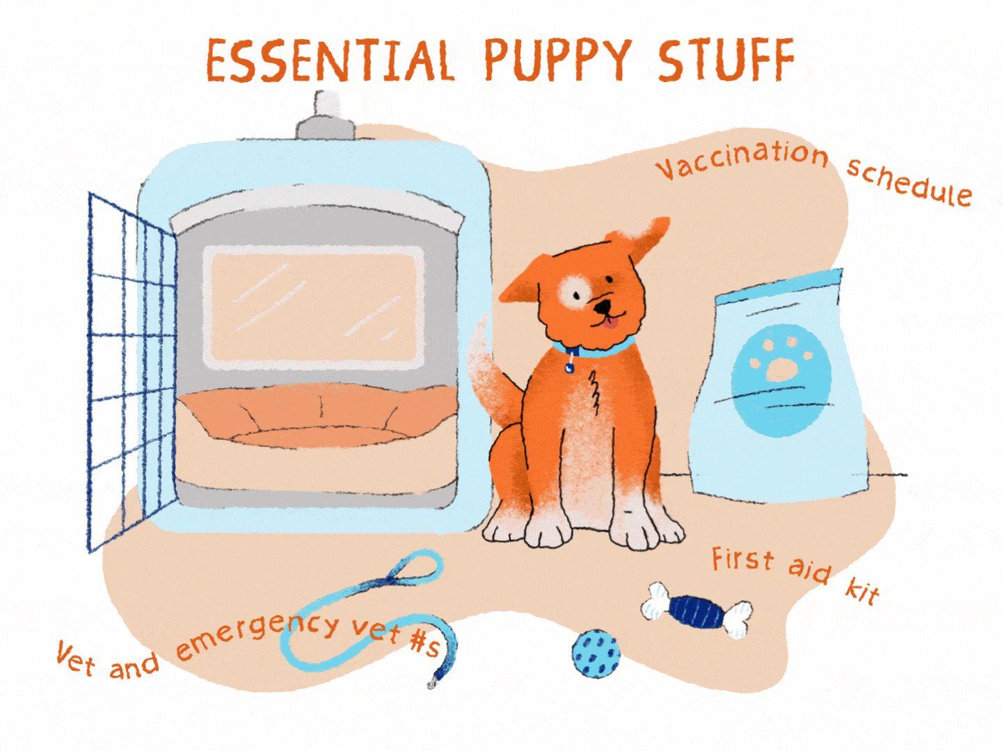 orange puppy and supplies illustration