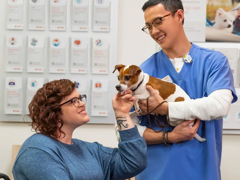 veterinarian holds dog with owner