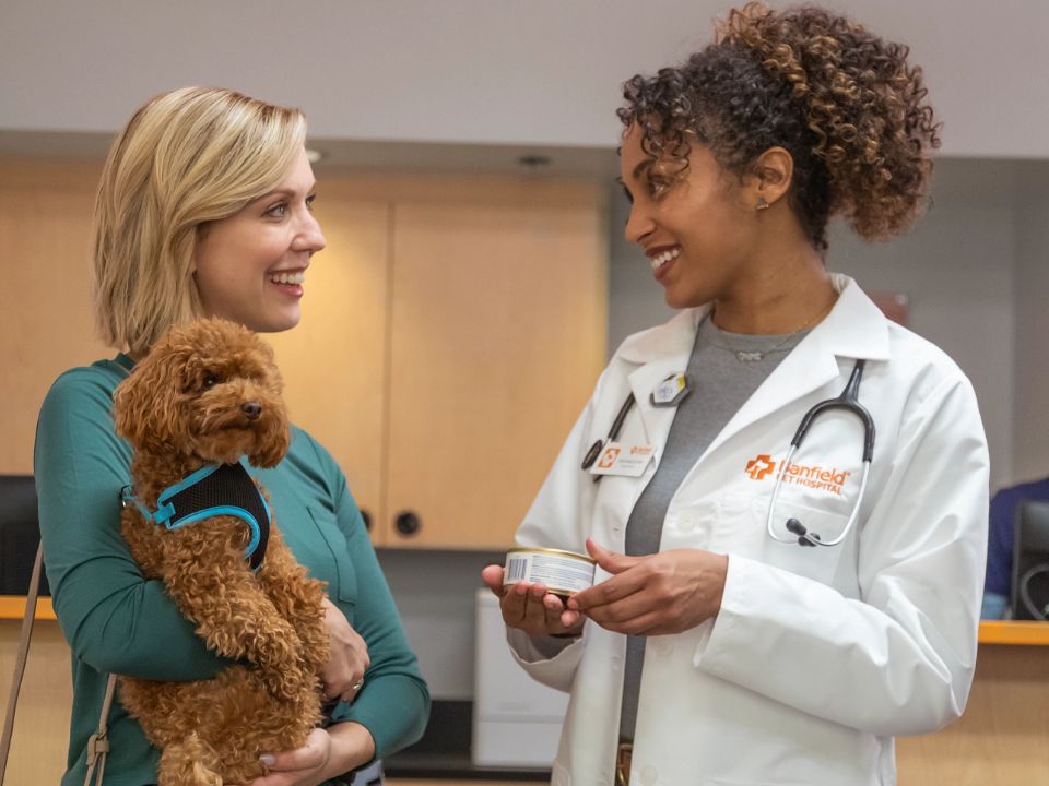 Your new puppy checklist | Banfield Pet Hospital®