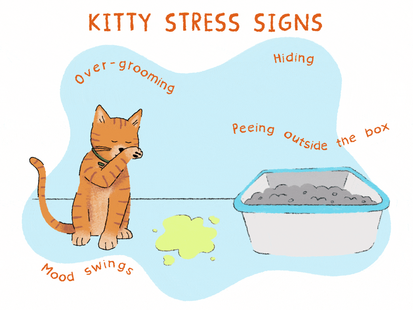 orange kitten litterbox accident illustration