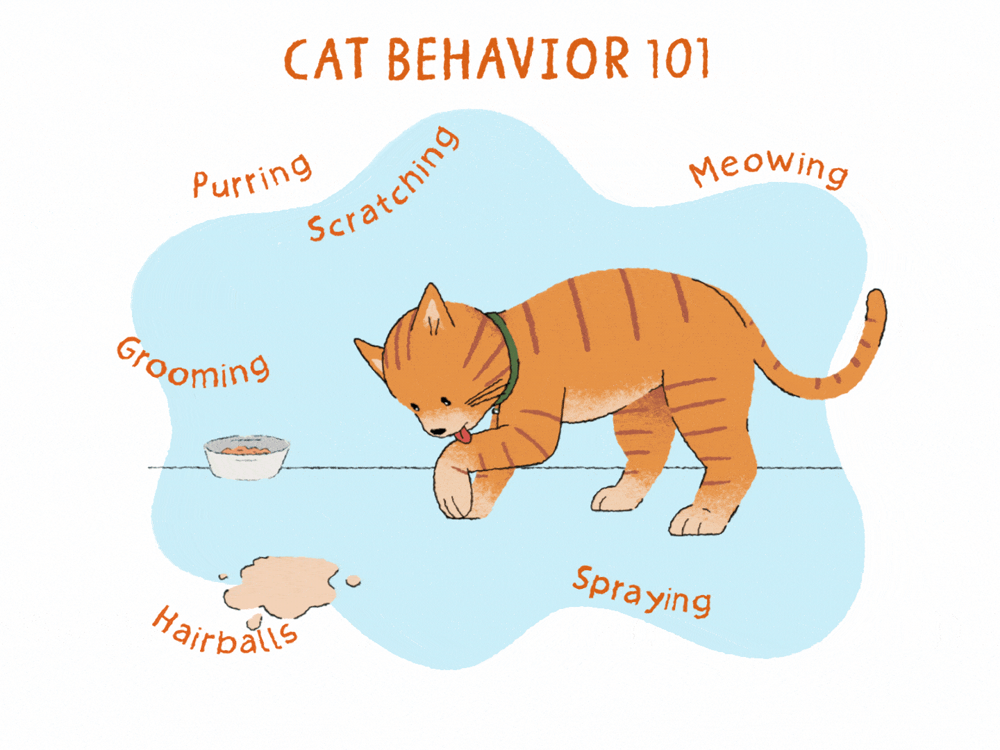 Cat Hissing but Friendly