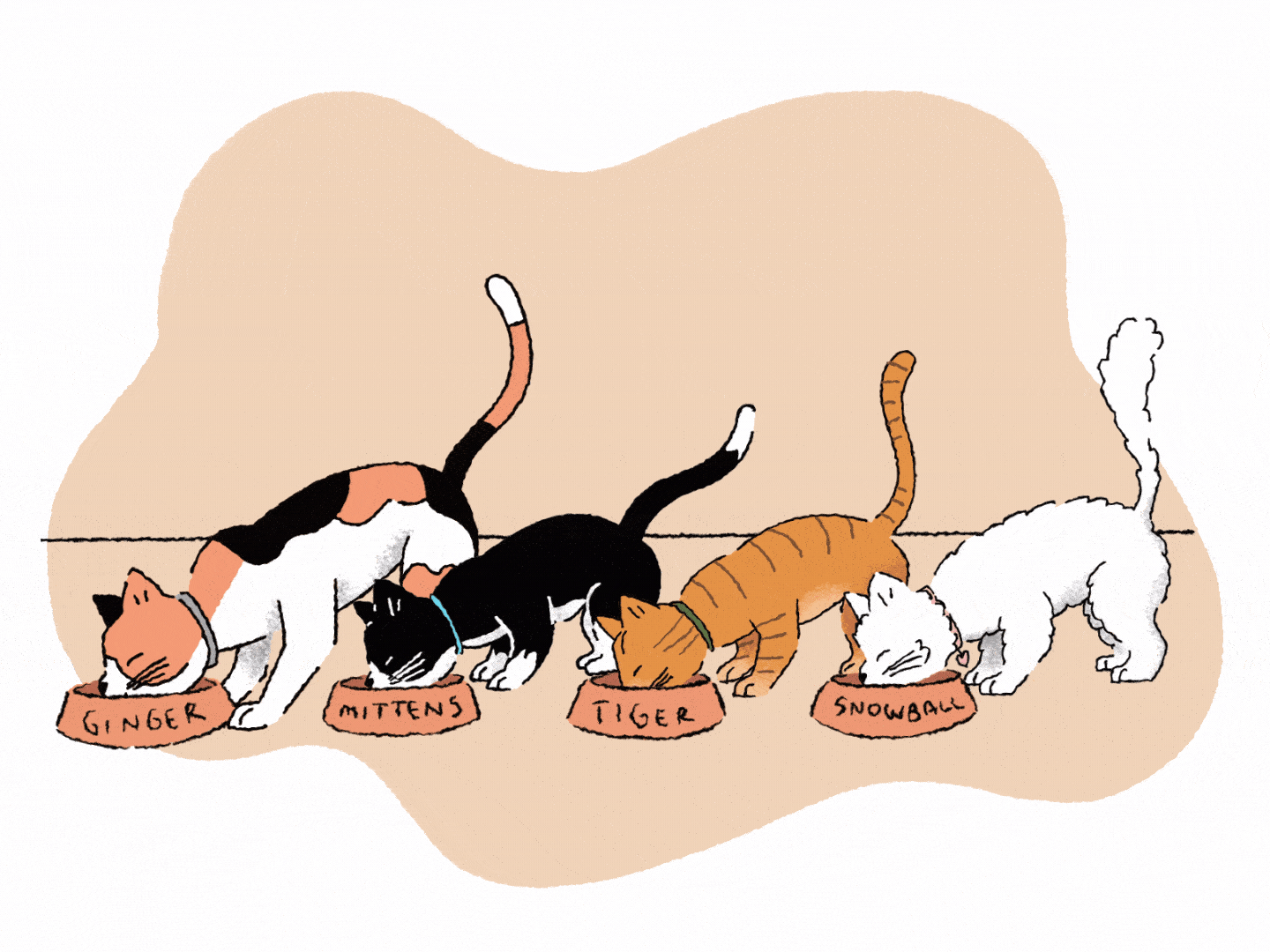 How much do cats and kittens eat