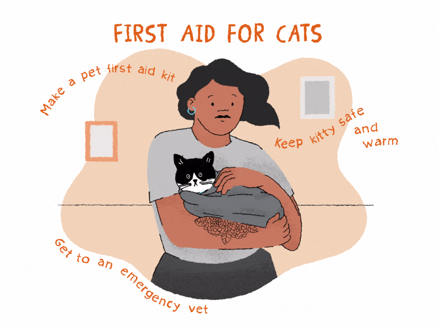 Pet first shop aid kit cat