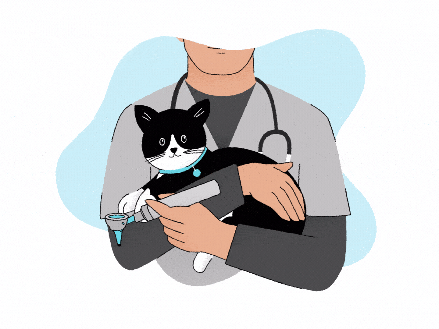 Kitten online vet care
