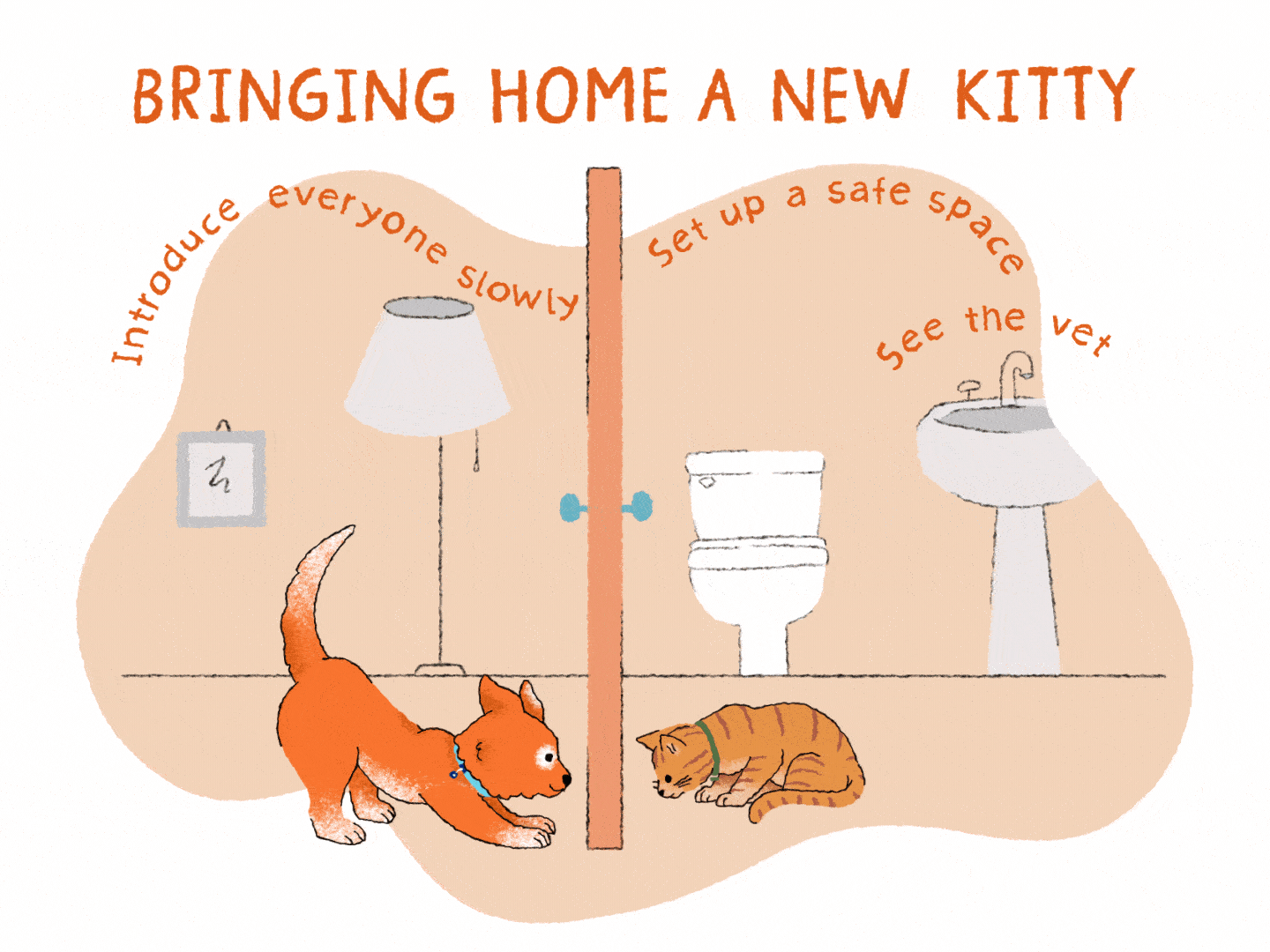 How To Safely Introduce A Kitten To Your Dog Atelier yuwa ciao jp how-to-safely-introduce-a-kitten-to-your-dog-atelier-yuwa-ciao-jp