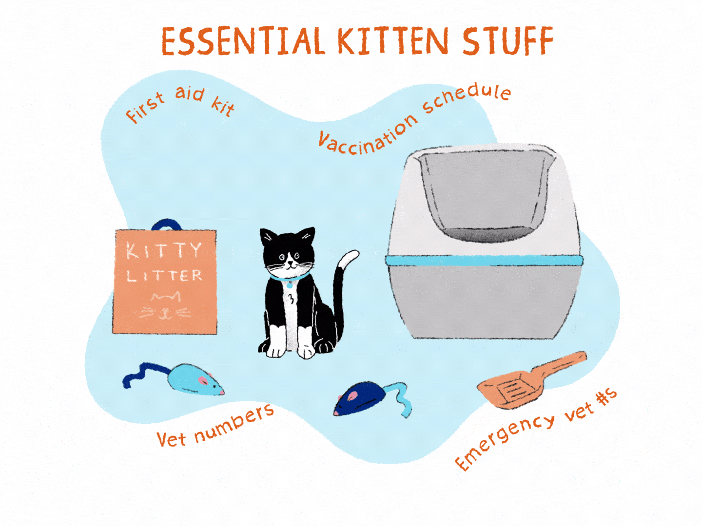 Supplies you need for a new kitten