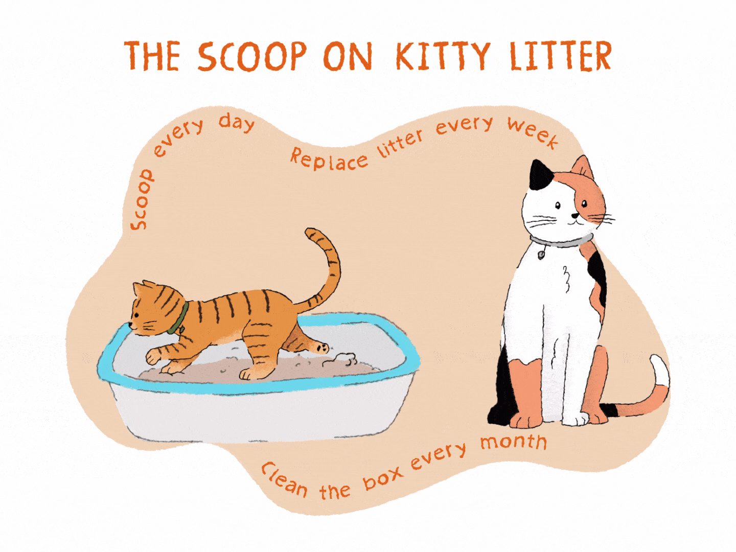 How Do You Train Kittens to Use the Litter Box: Pro Tips