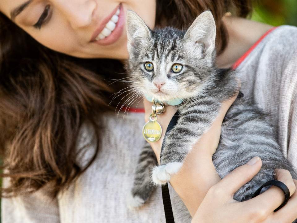 smiling woman holds striped kitten