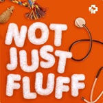 Not Just Fluff feature logo
